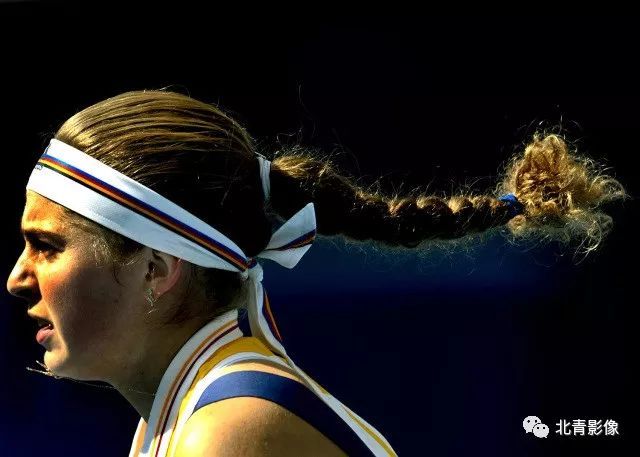 供了借鉴 供了借鉴