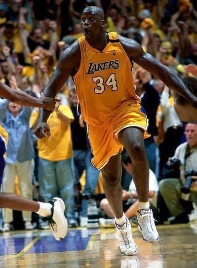 理与保枪选 理与保枪选