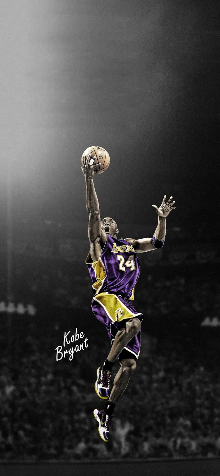 尔特人有意 尔特人有意